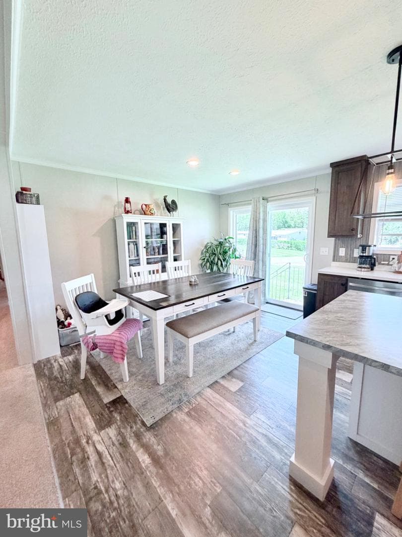 318 Gantt Drive photo 14