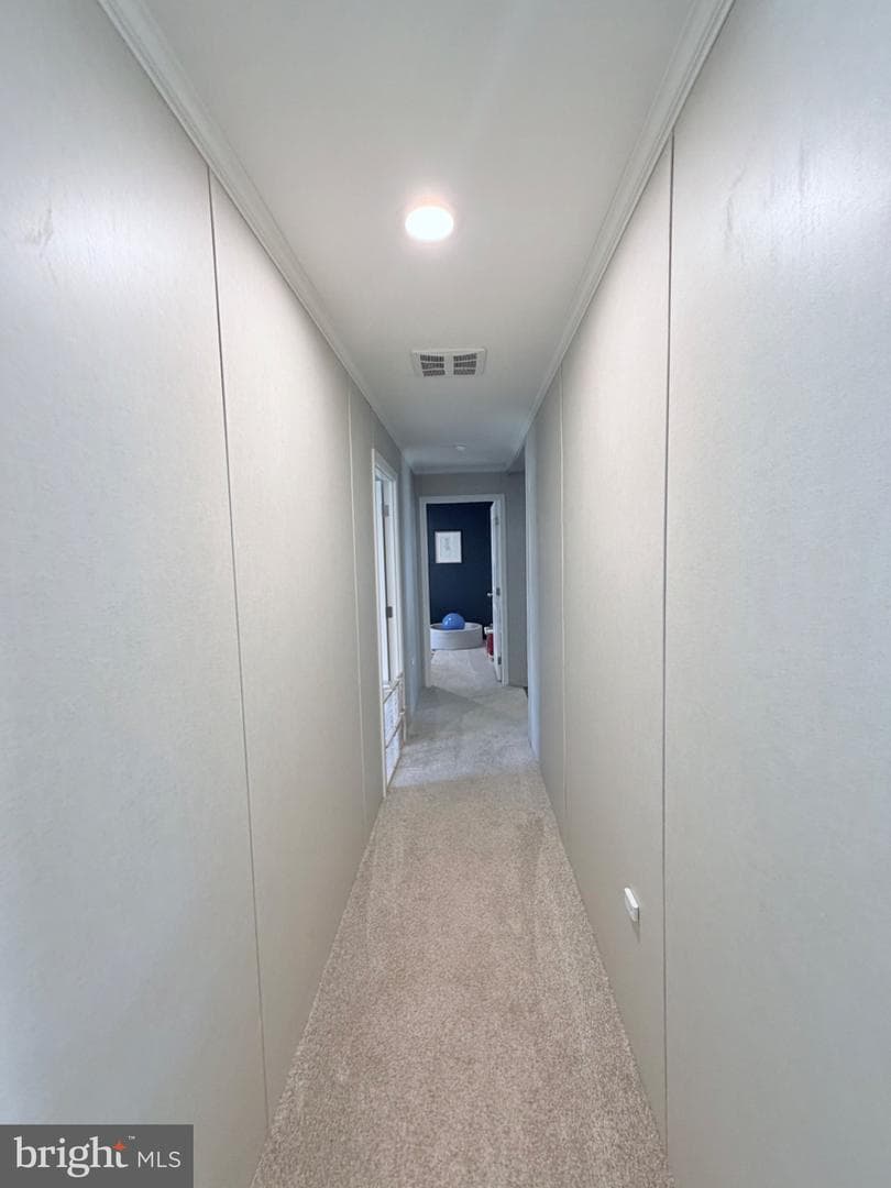 318 Gantt Drive photo 33