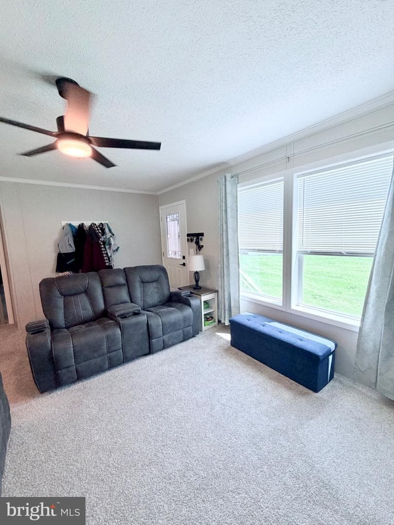 318 Gantt Drive photo 9