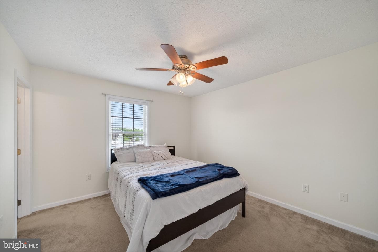 481 Ives Street photo 14