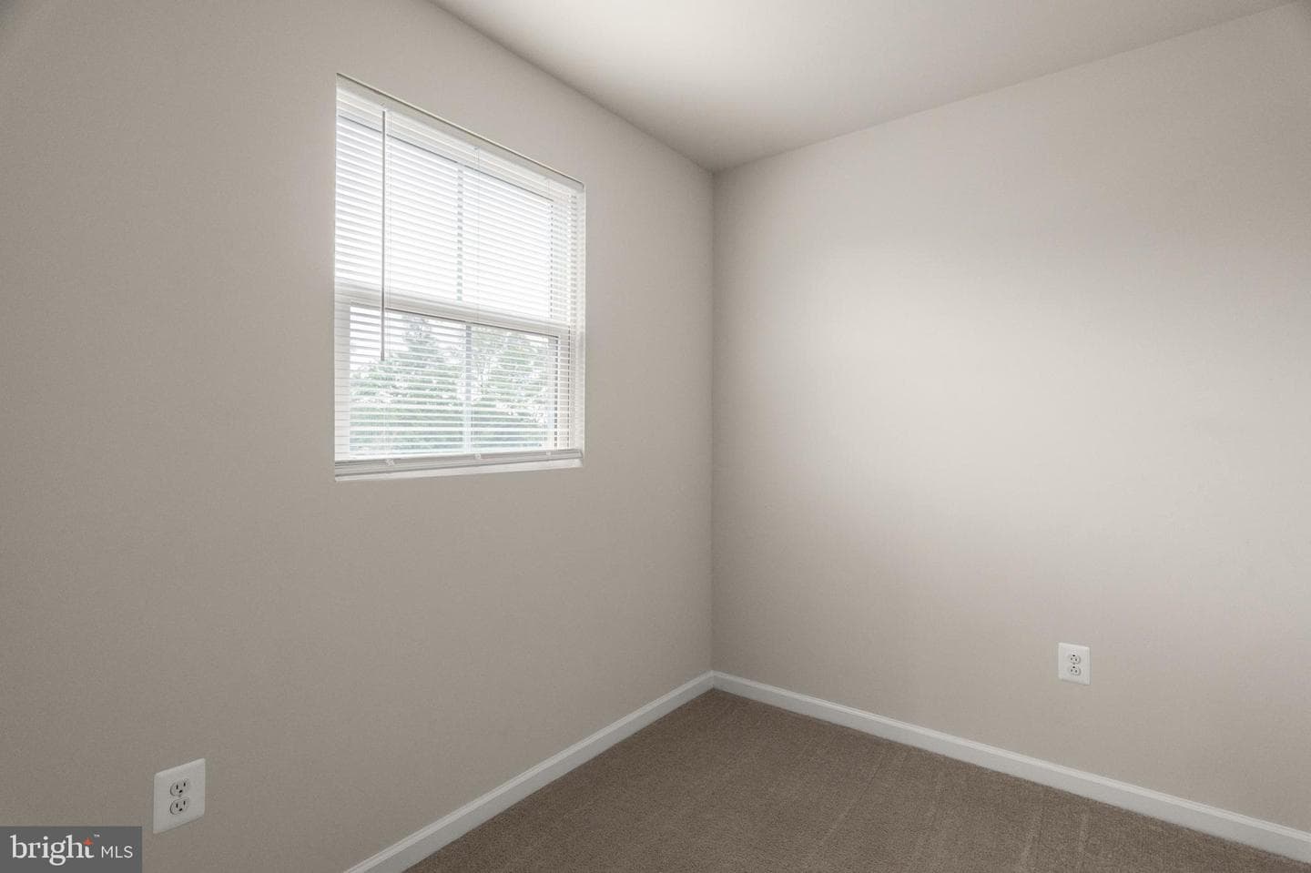 321 Tickseed Court photo 13