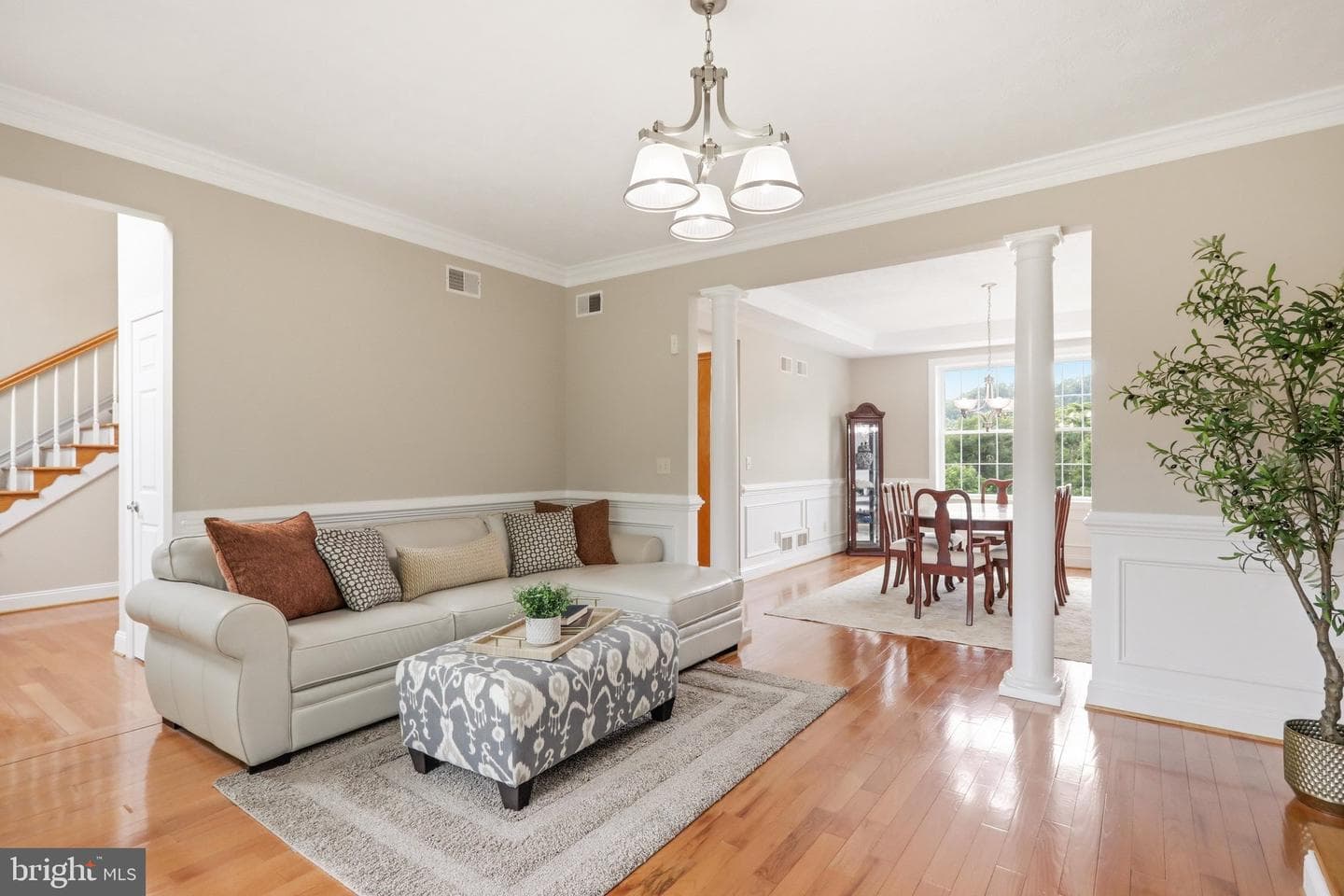 18 Treasure Drive photo 6