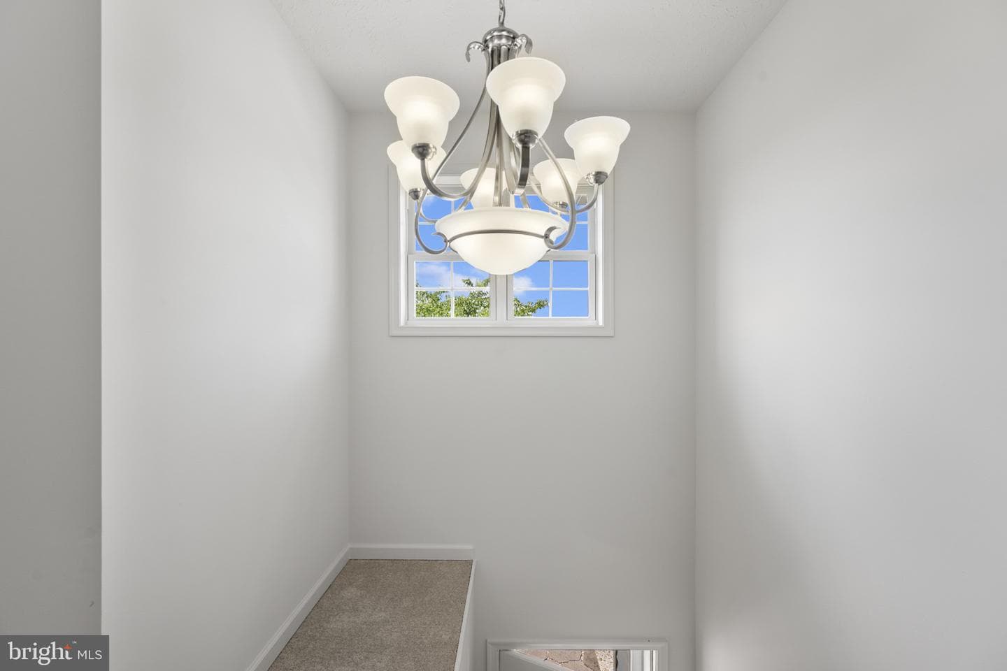 57 Hansberry Court photo 17