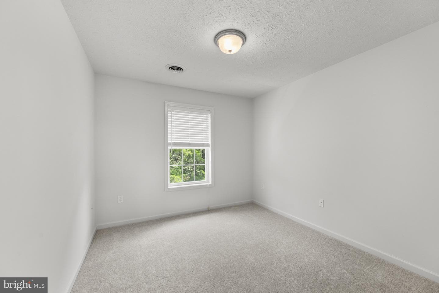 57 Hansberry Court photo 18