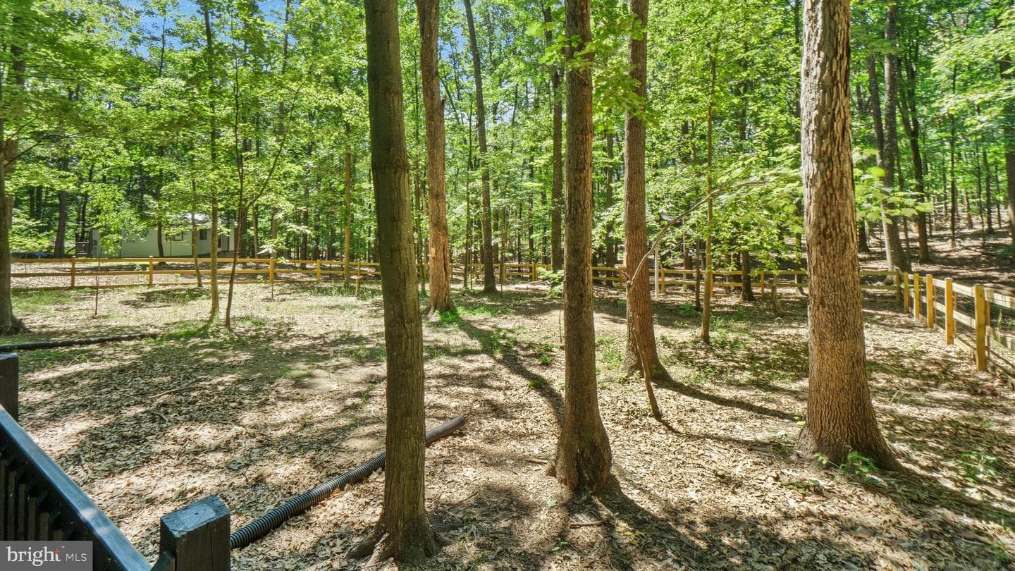 494 Tuckahoe Trail photo 19