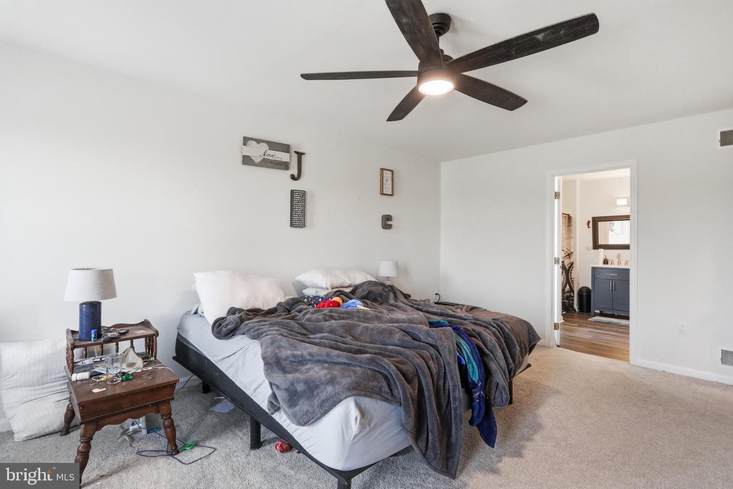 48 Lansing Ct photo 19