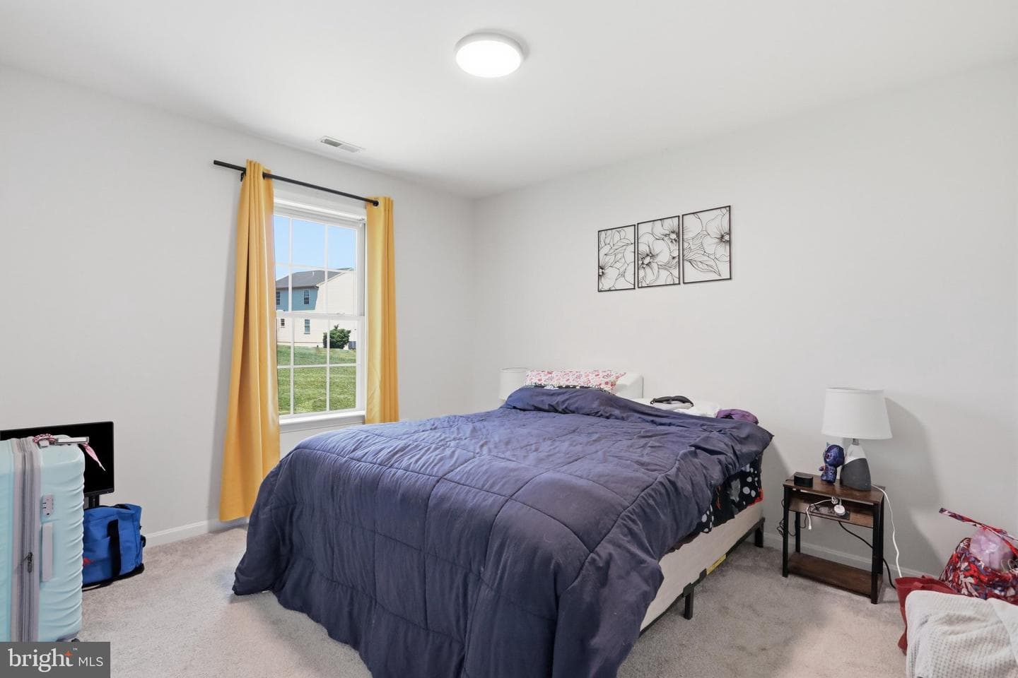 48 Lansing Ct photo 25