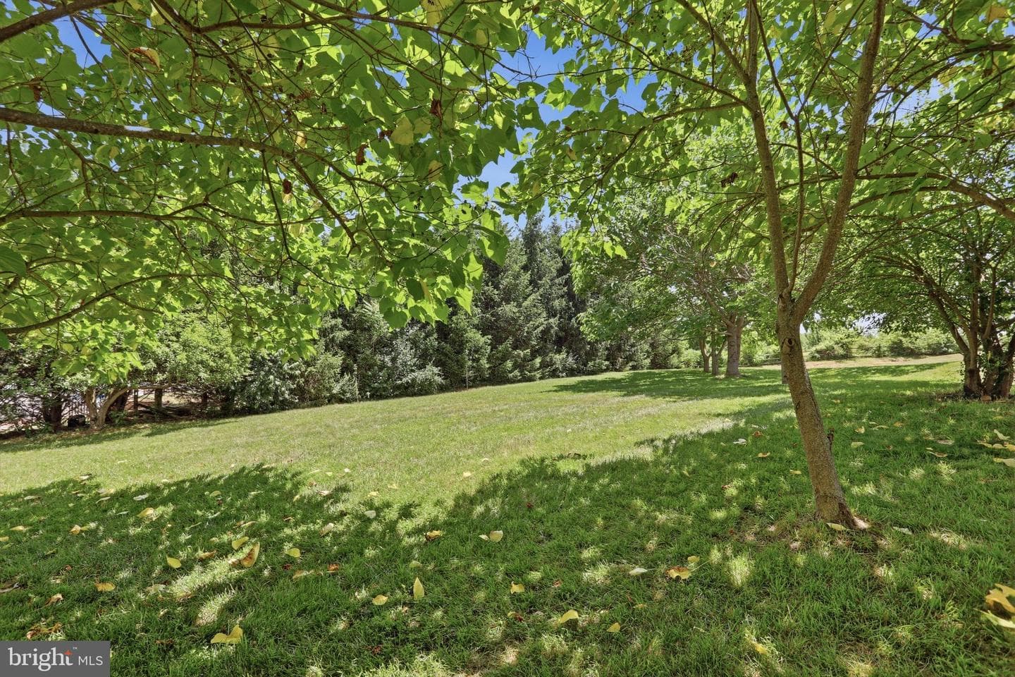 48 Lansing Ct photo 41