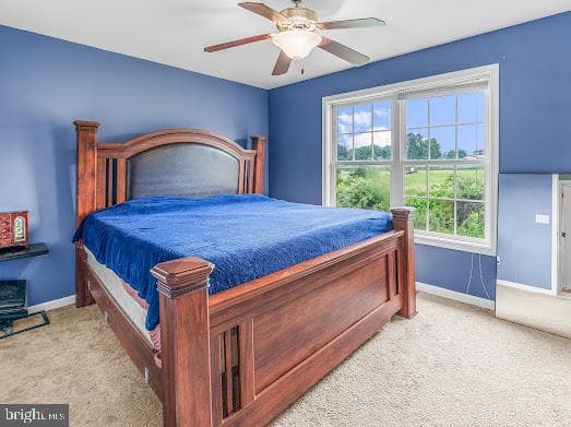 25 Buchanon Lane photo 12