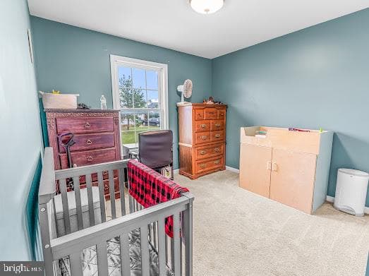 25 Buchanon Lane photo 14