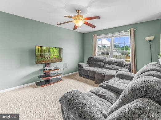 25 Buchanon Lane photo 4