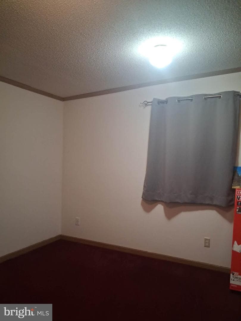 702 Dollar photo 15