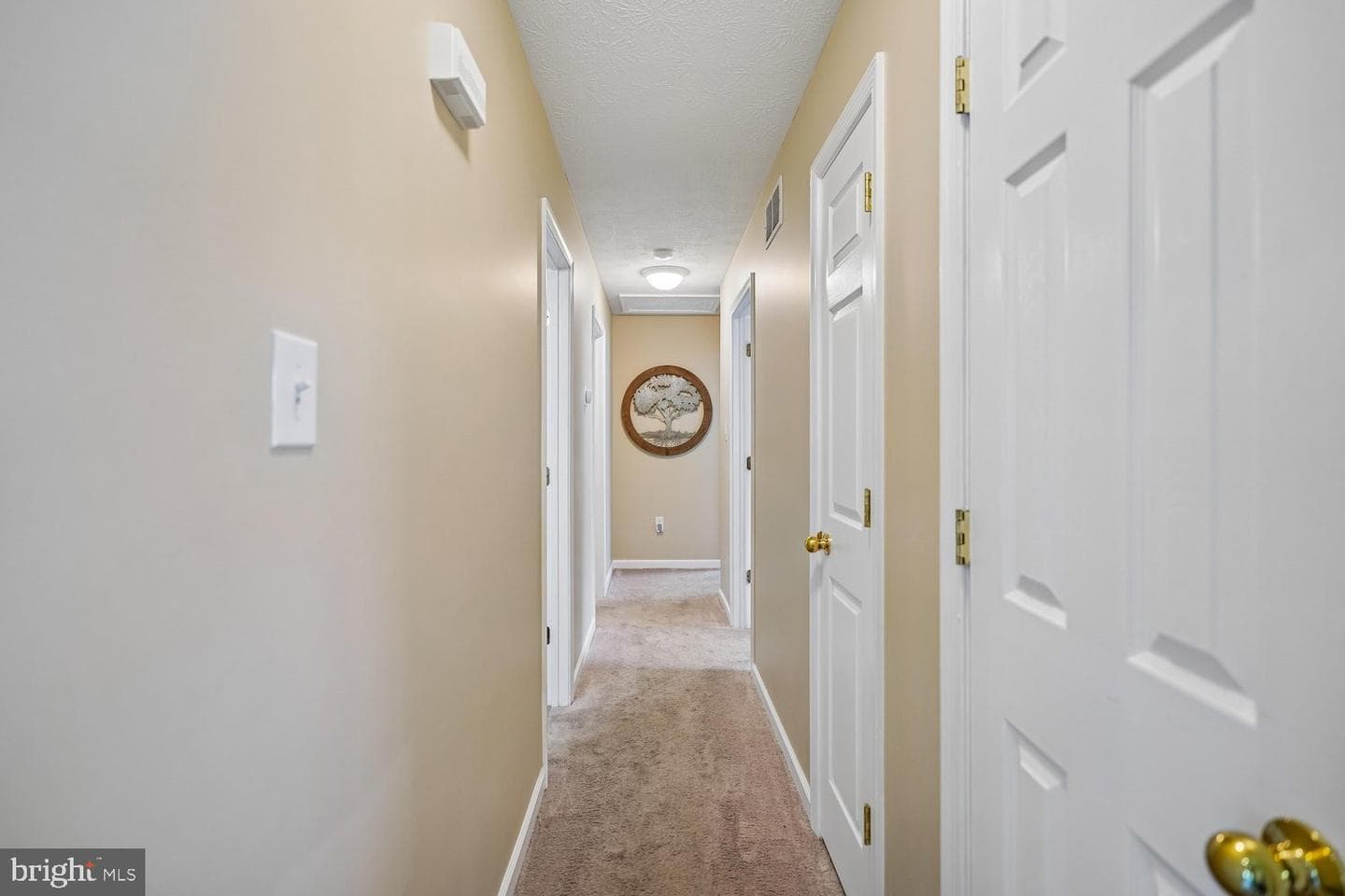 241 Coriander Way photo 13