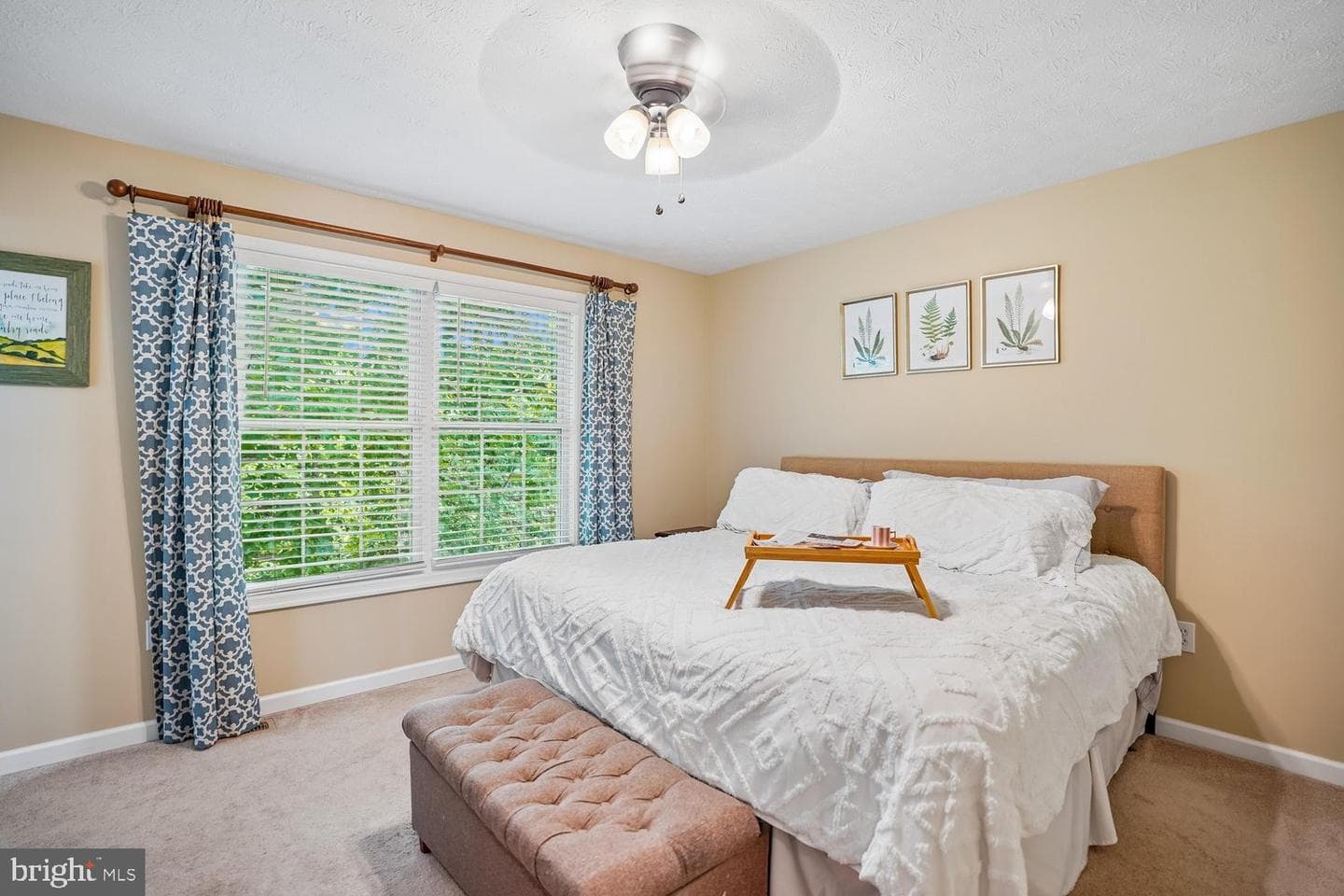 241 Coriander Way photo 14