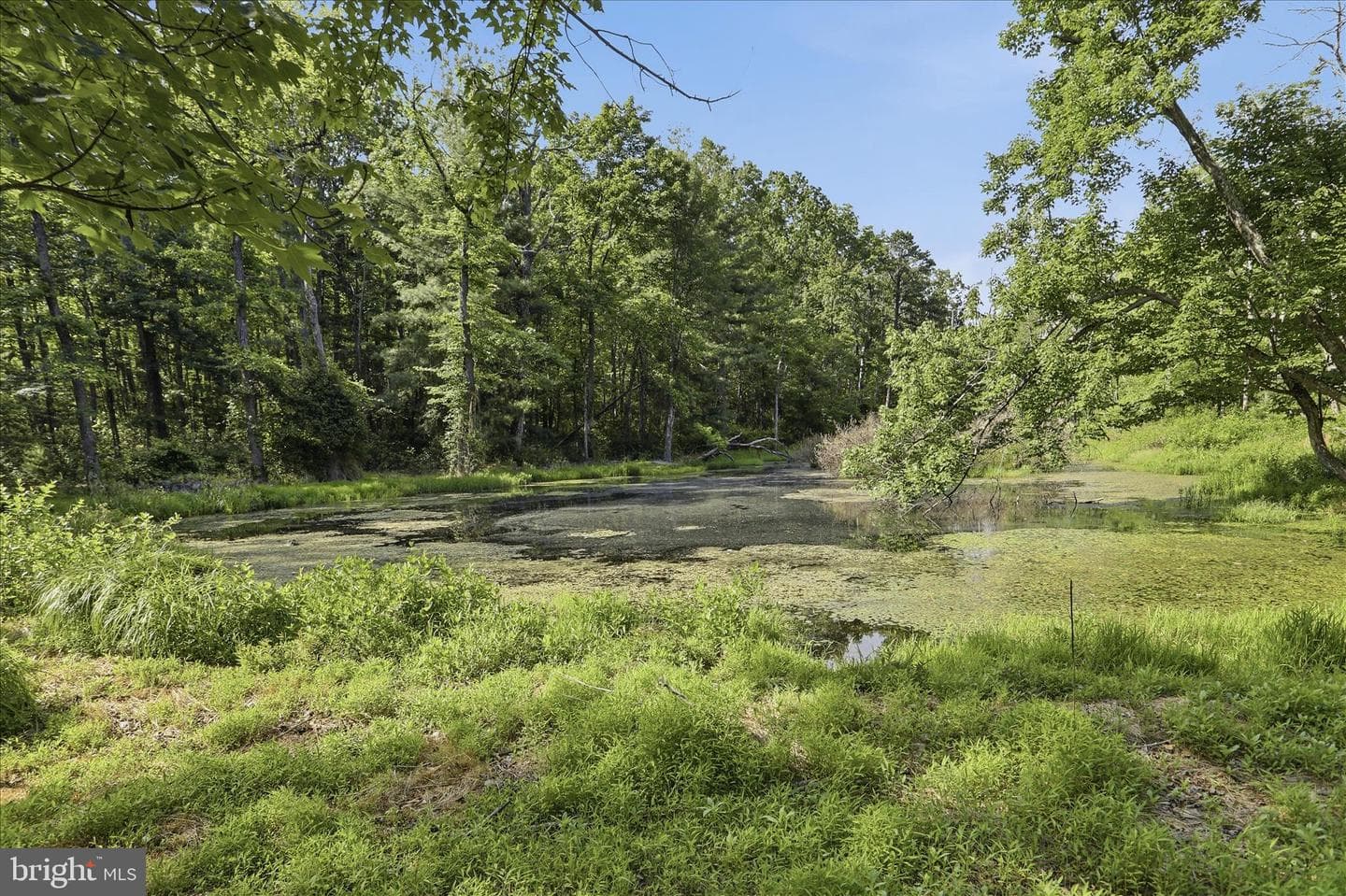 633 Halterman Drive photo 41