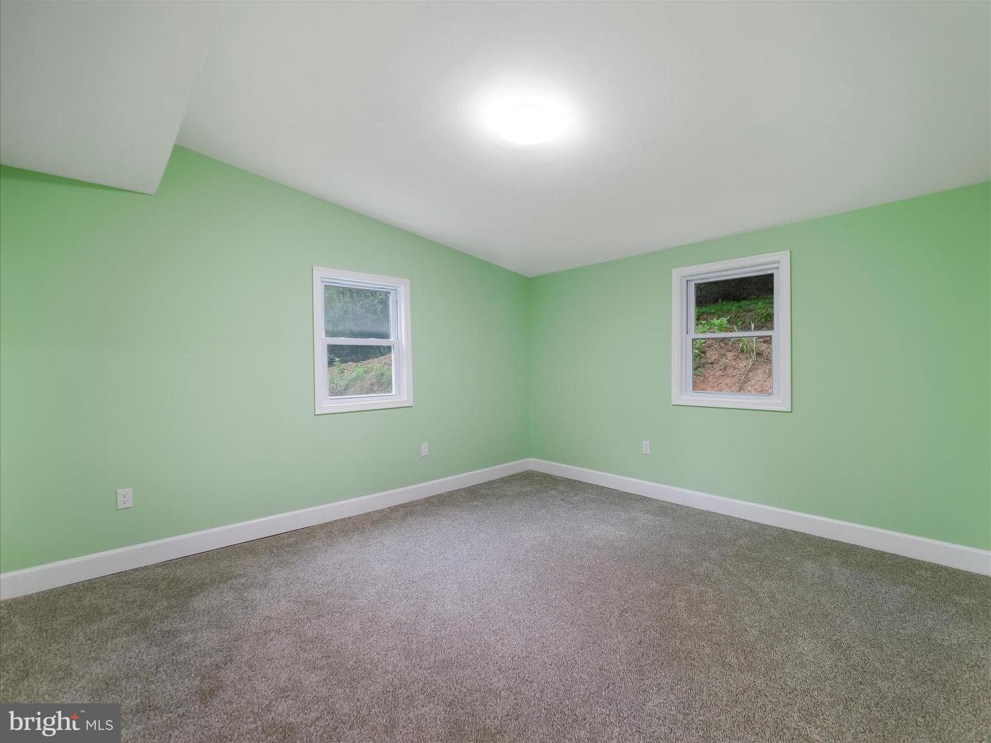 1712 Shenandoah River Drive photo 18