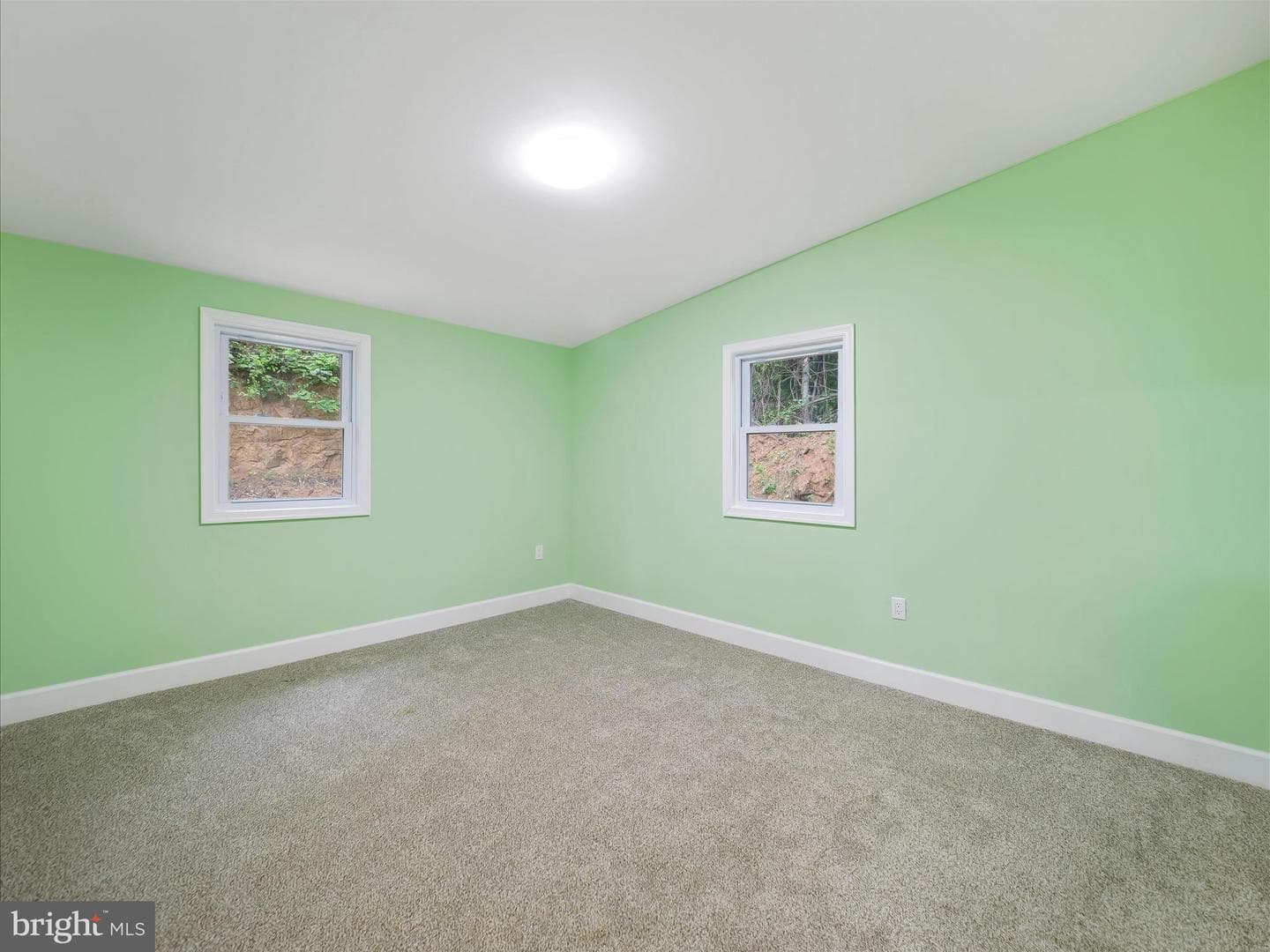 1712 Shenandoah River Drive photo 21
