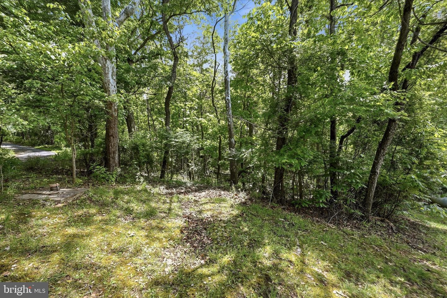 54 Sumac Lane photo 43