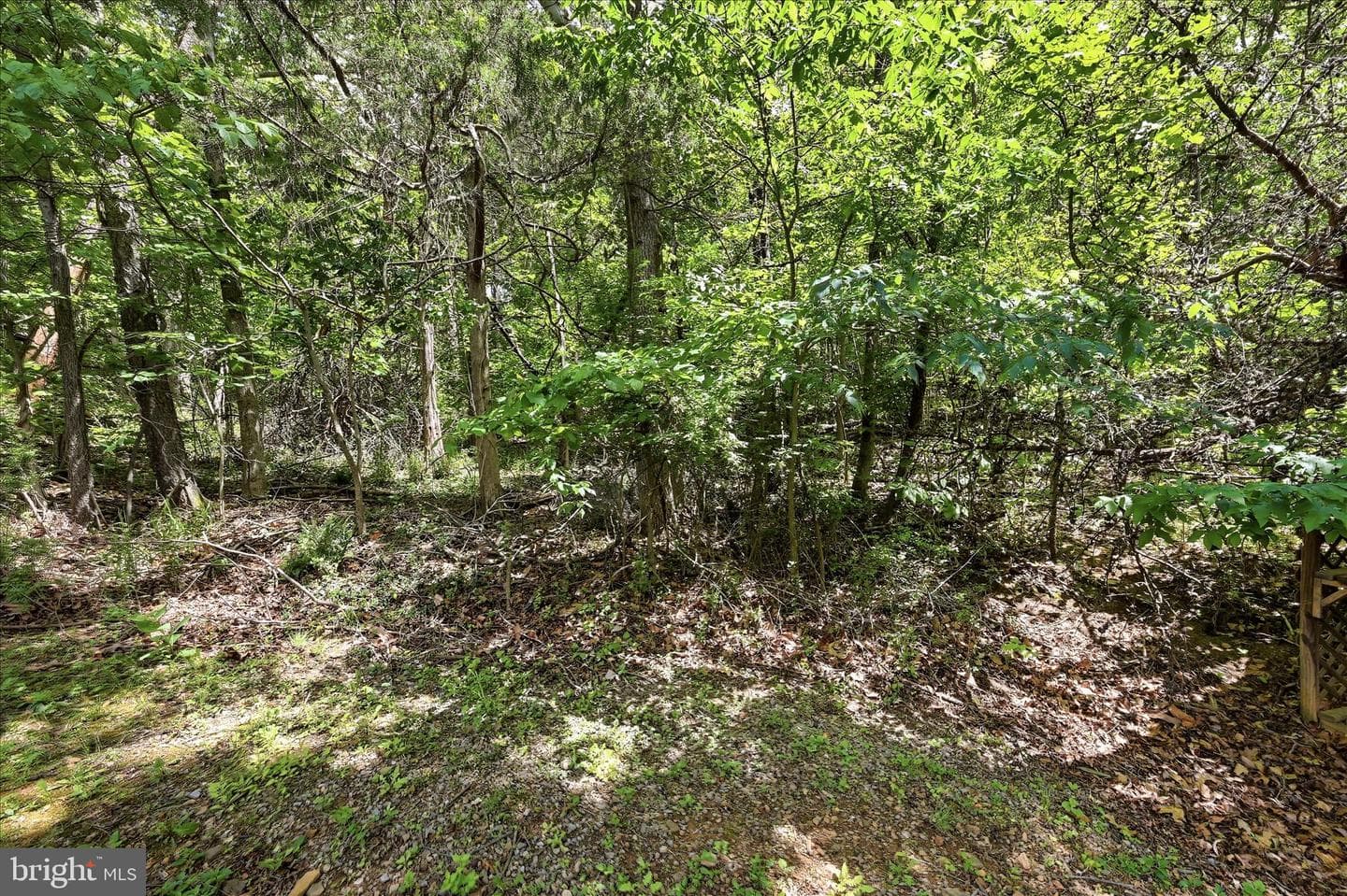54 Sumac Lane photo 44