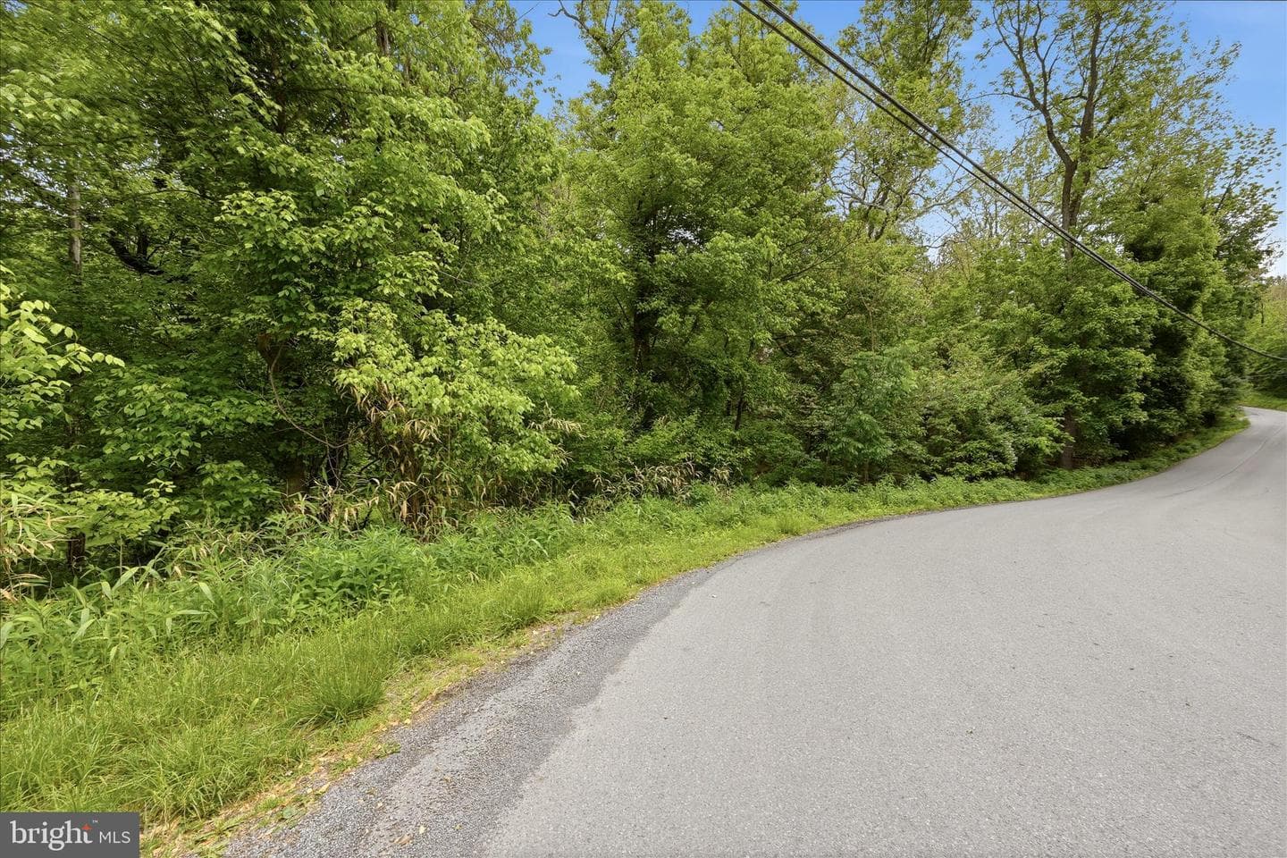 54 Sumac Lane photo 45