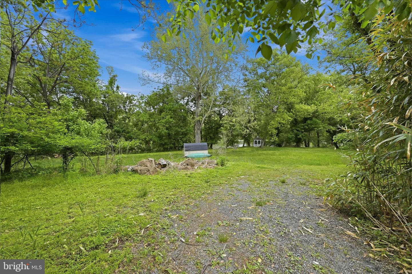 54 Sumac Lane photo 47
