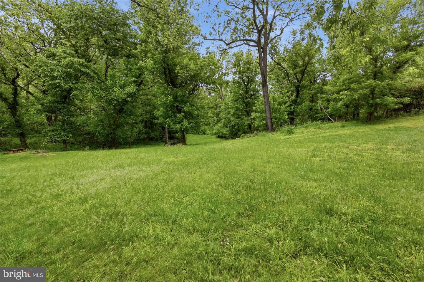 54 Sumac Lane photo 52