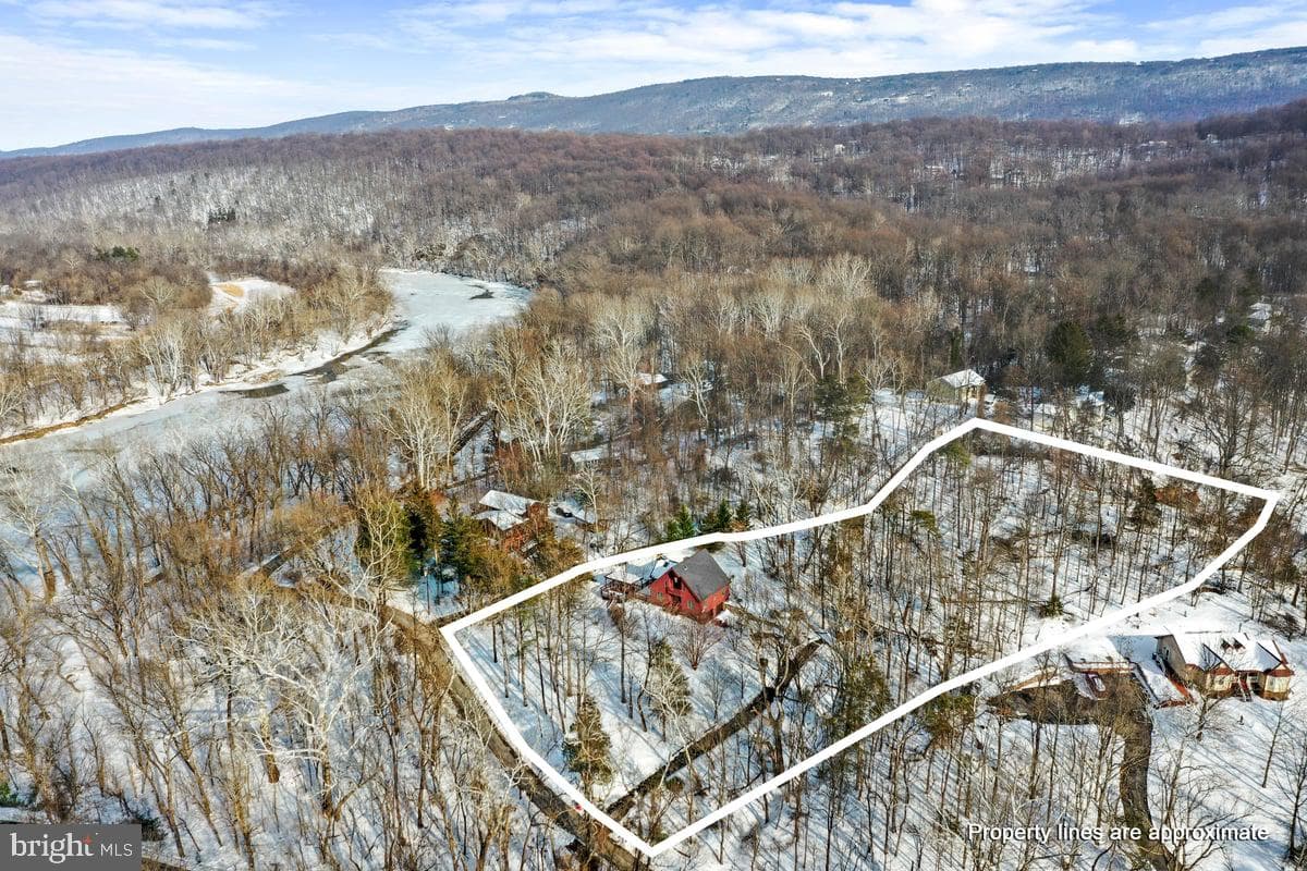 54 Sumac Lane photo 57