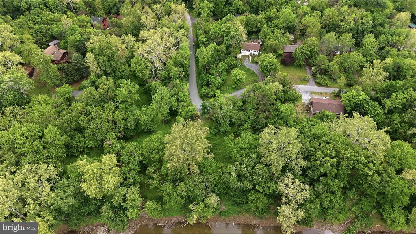 54 Sumac Lane photo 65