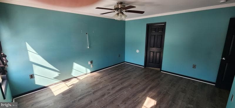 351 Thumper Drive photo 23