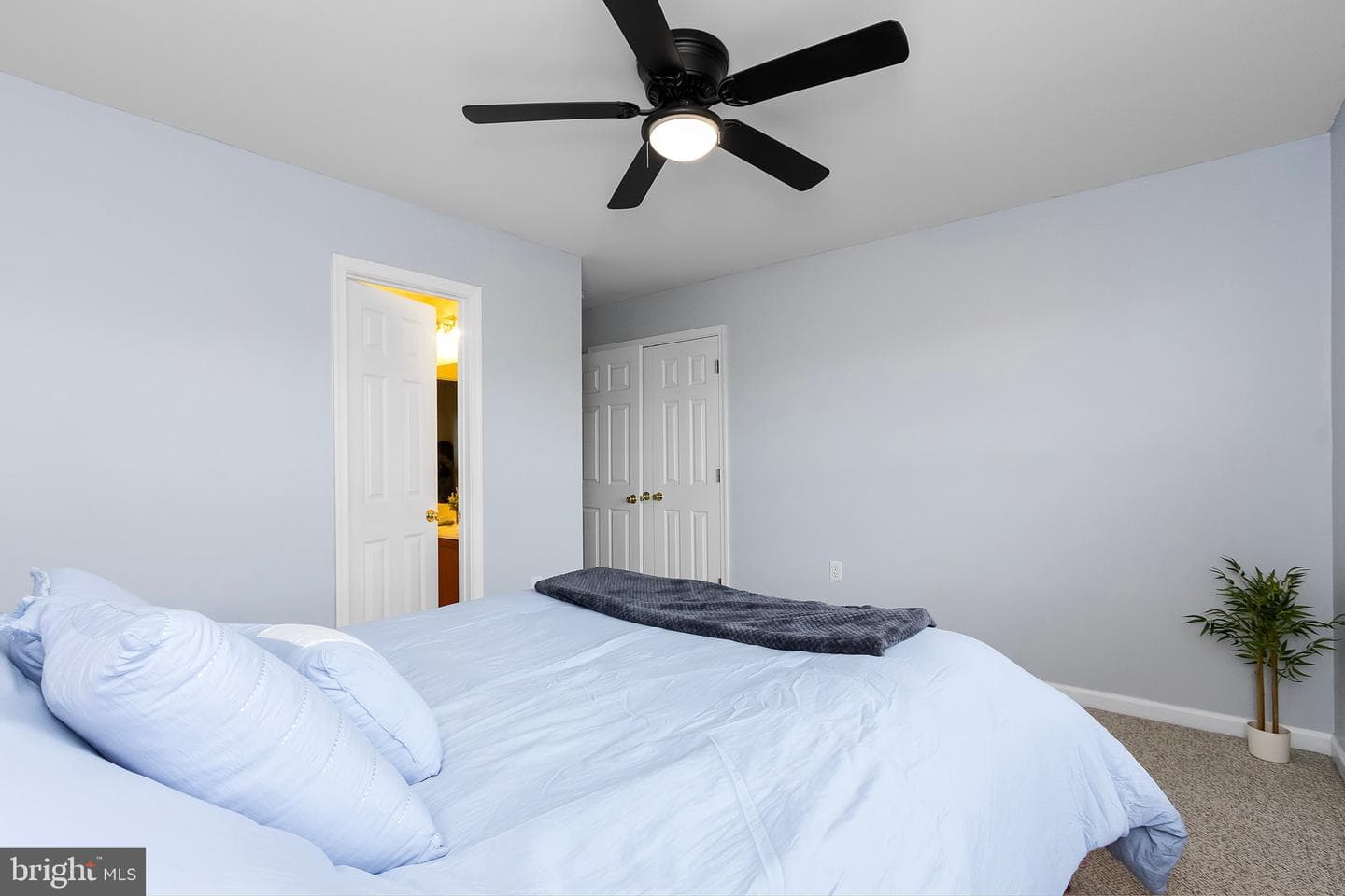 317 Stratus Dr photo 28