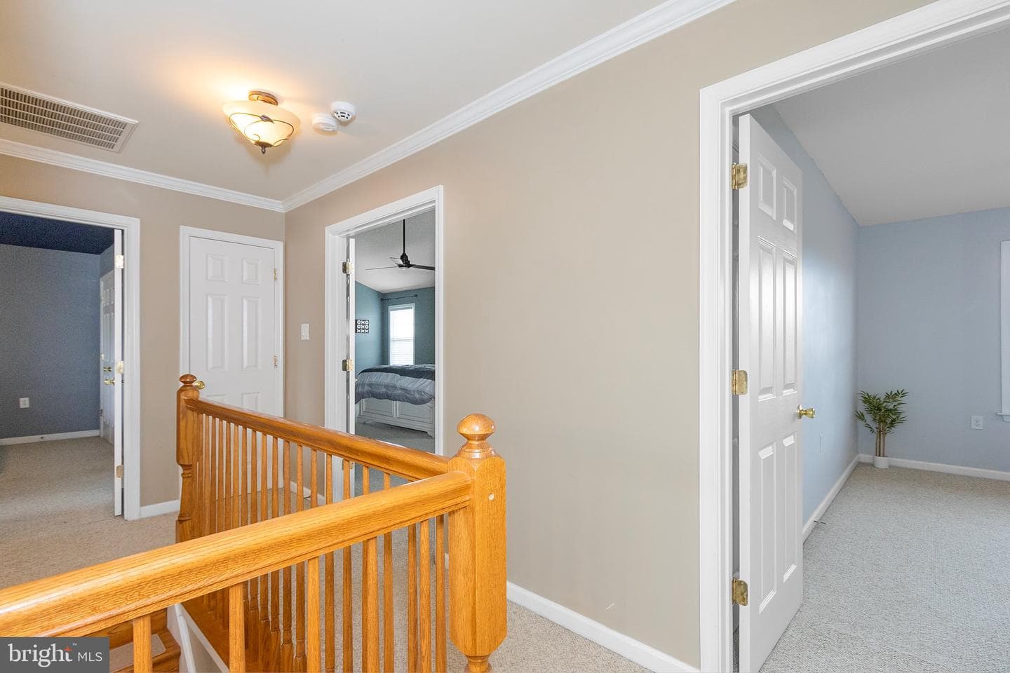 317 Stratus Dr photo 29