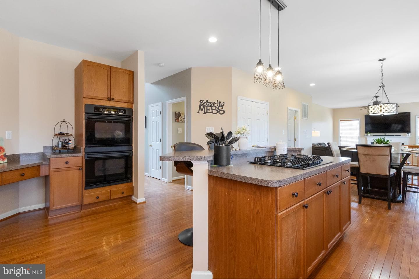 317 Stratus Dr photo 52