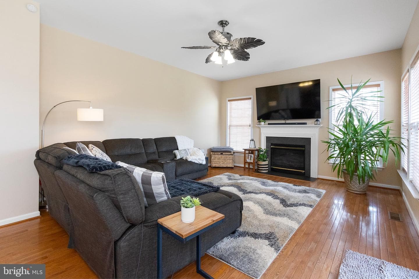 317 Stratus Dr photo 55