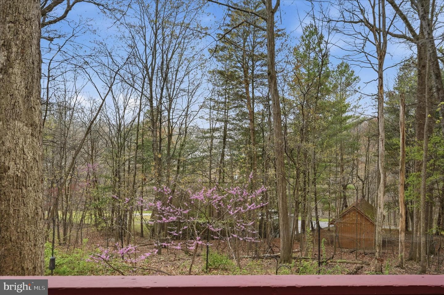 175 Fern Drive photo 10