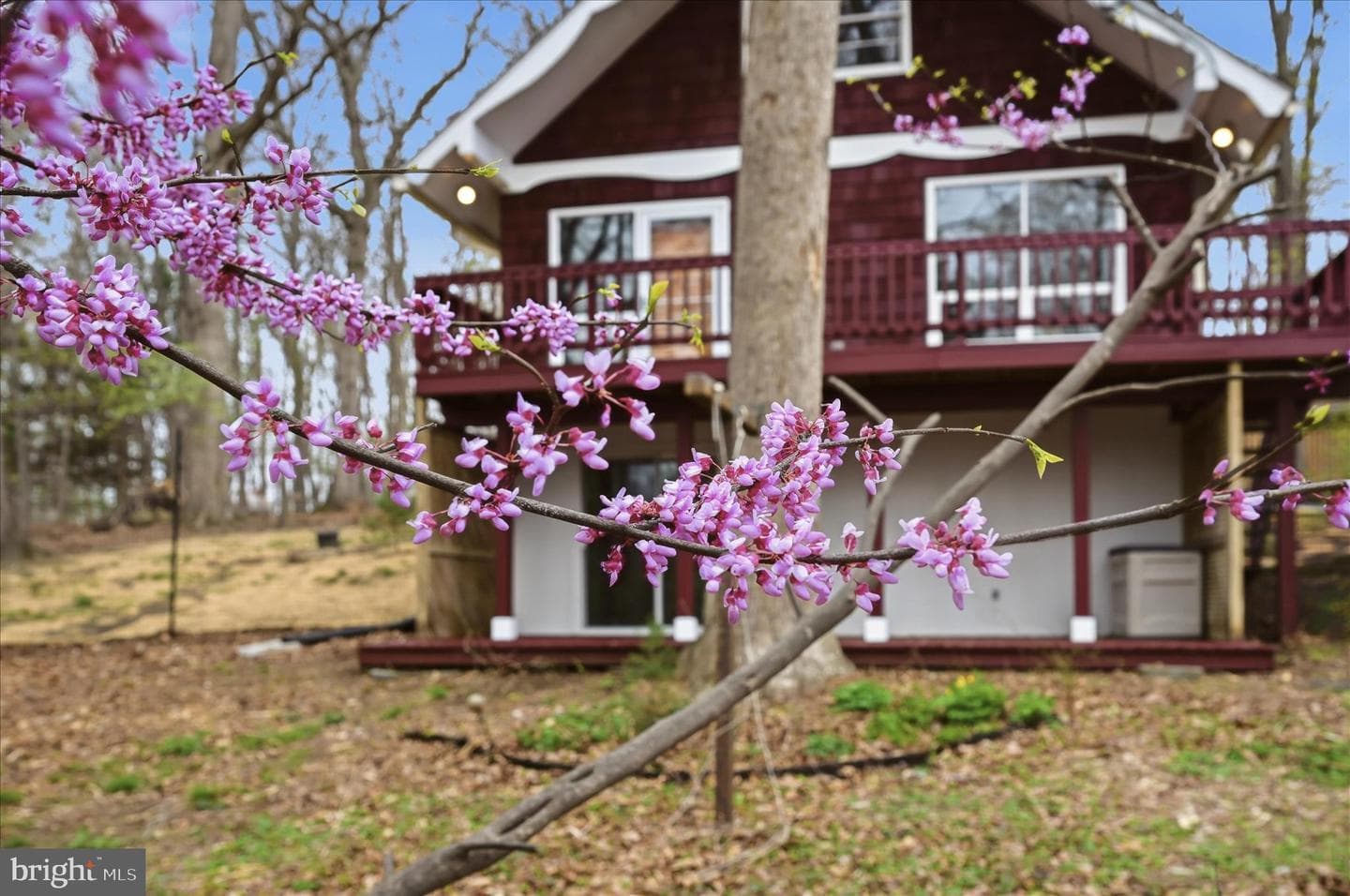 175 Fern Drive photo 61