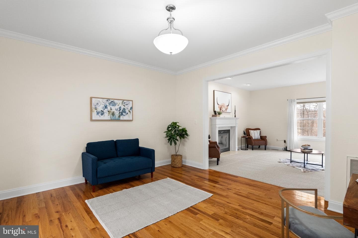 33 Caesar Road photo 4