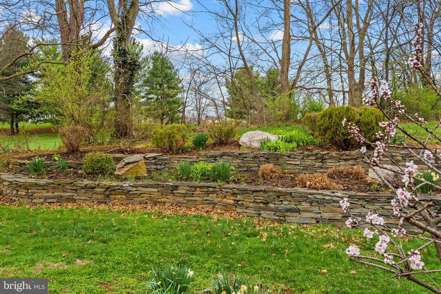 136 Brookline Drive photo 41