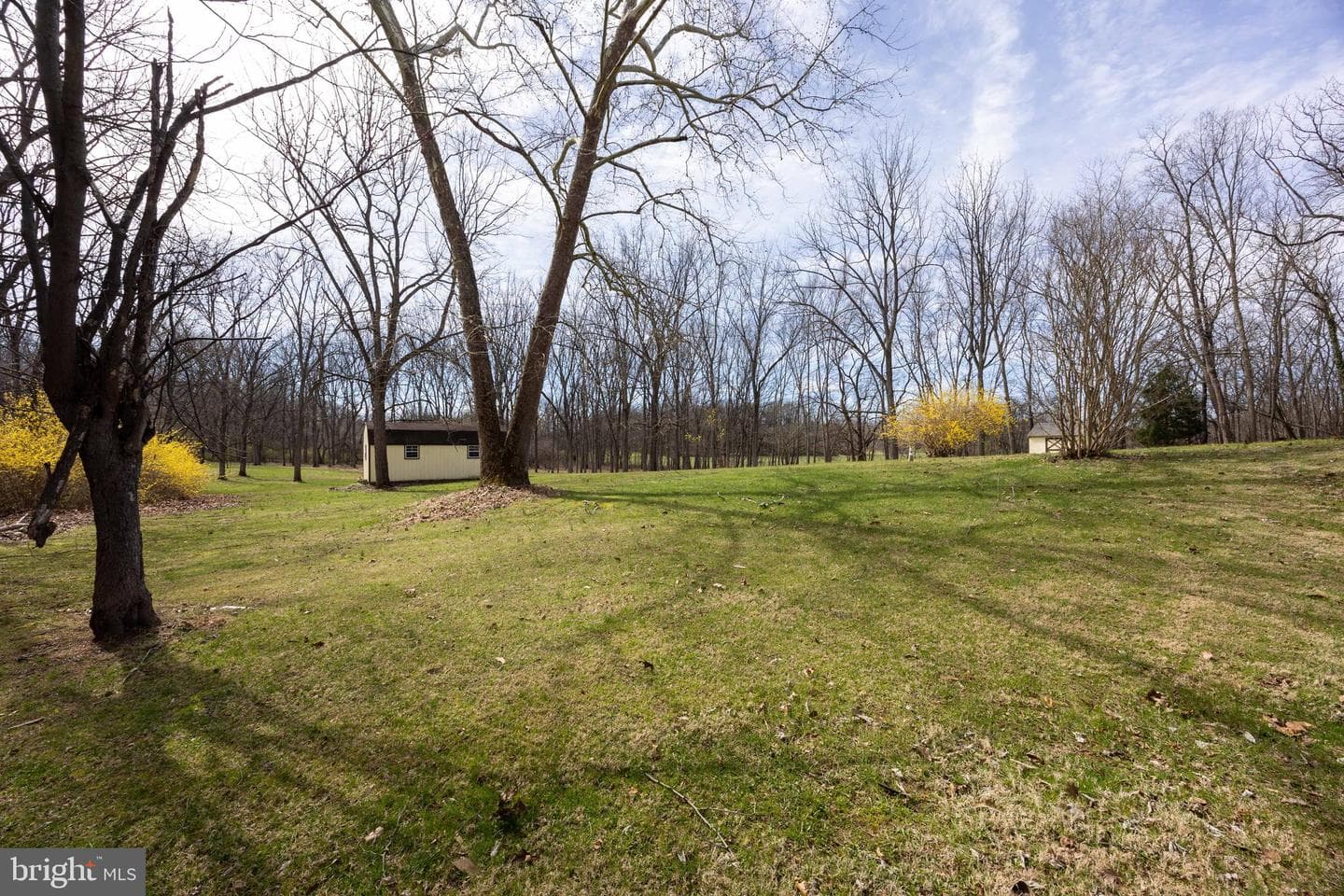 712 Morgan Grove Road photo 63