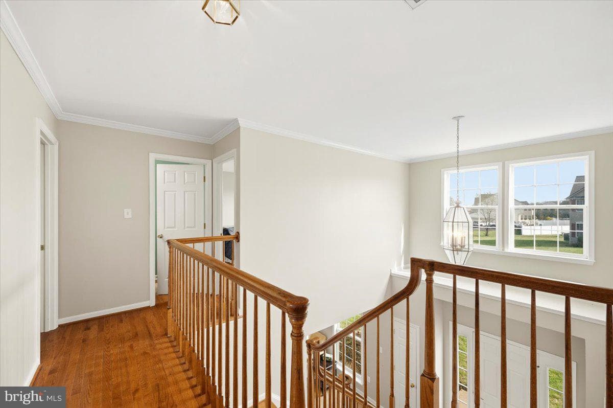 102 Sundance Lane photo 25