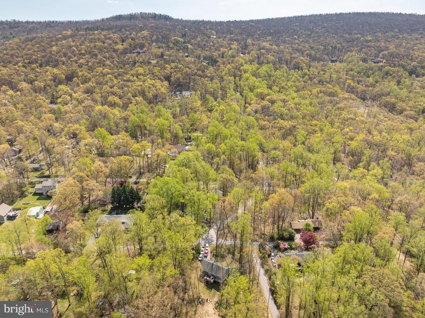 191 Blueberry Lane photo 41