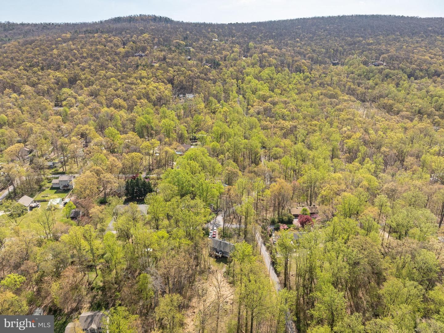 191 Blueberry Lane photo 42