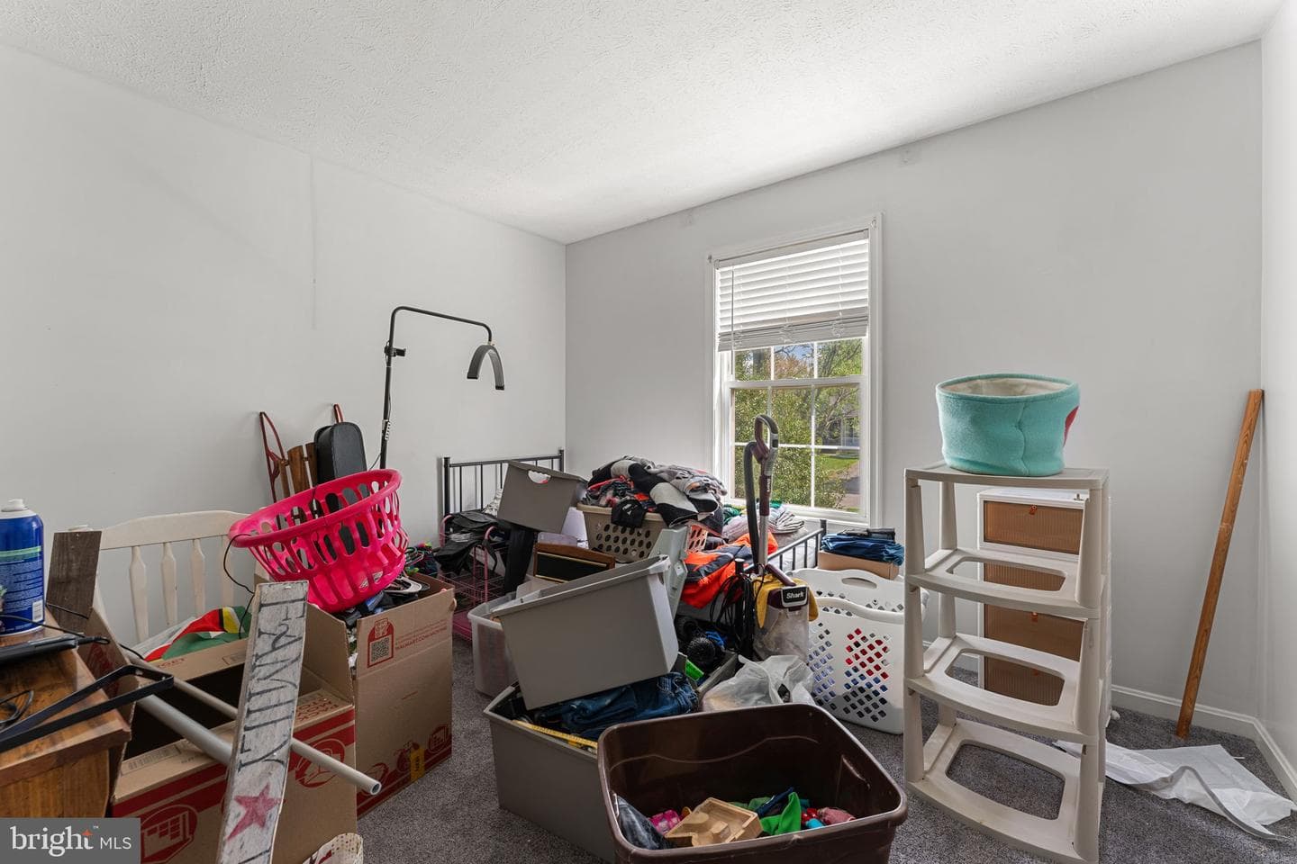 157 Berkeley Drive photo 23