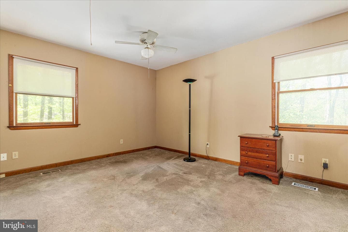 21 Chestnut Place photo 19
