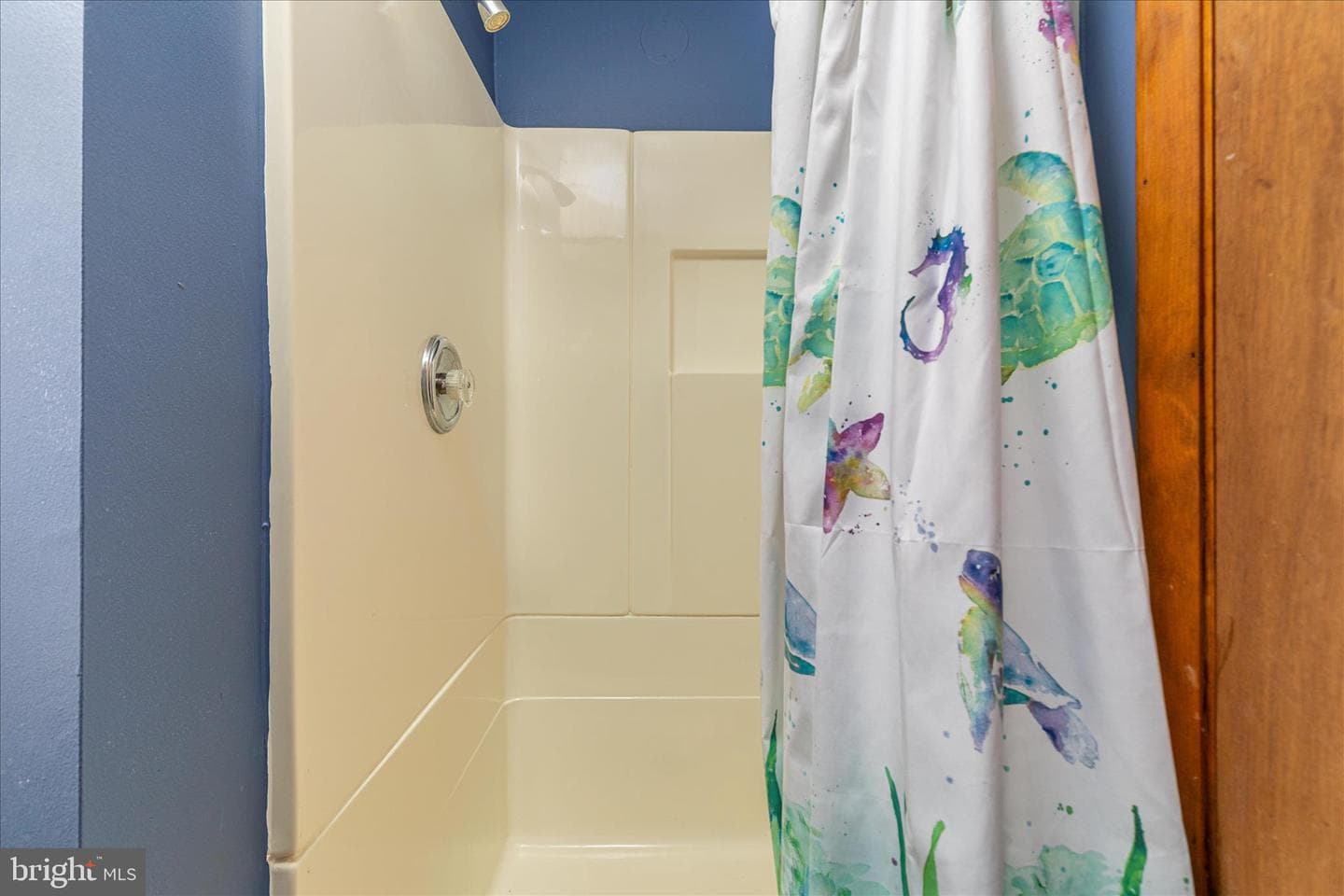21 Chestnut Place photo 26
