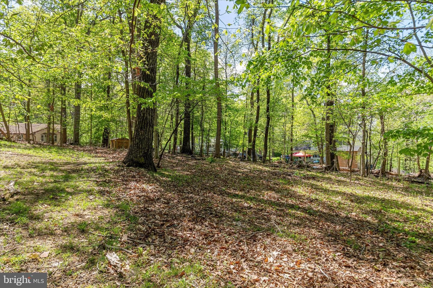 21 Chestnut Place photo 41