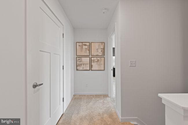5 Thorton Avenue photo 20
