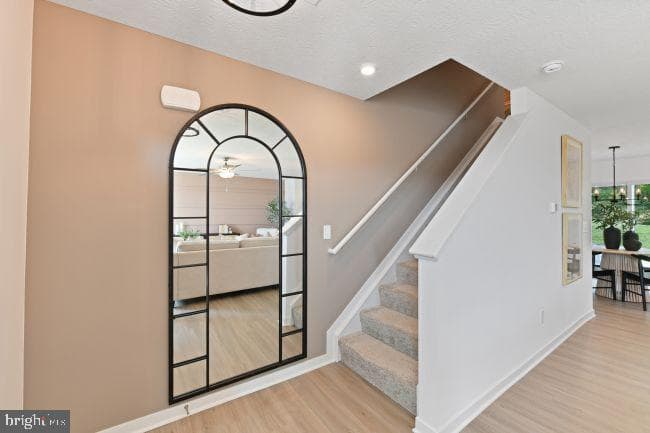 7 Thorton Avenue photo 10