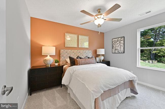 7 Thorton Avenue photo 23
