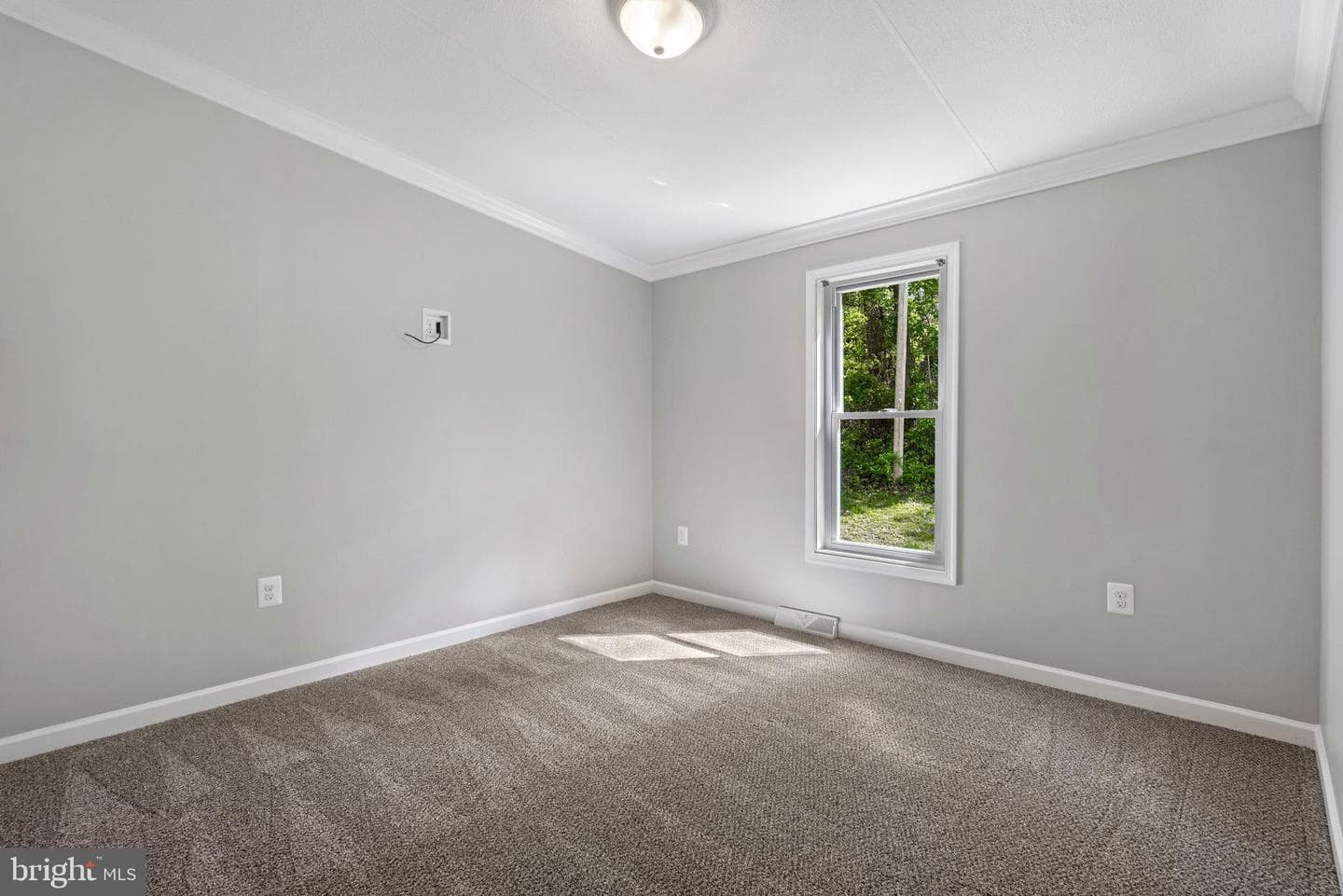 276 Walnut Hill Drive photo 22