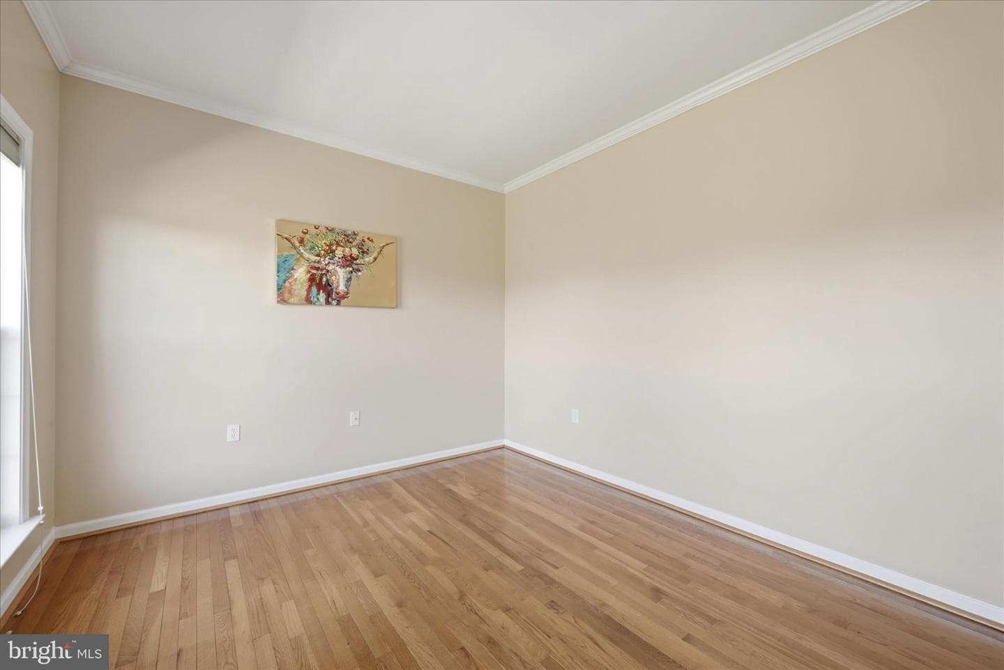 49 Appomattox Lane photo 25
